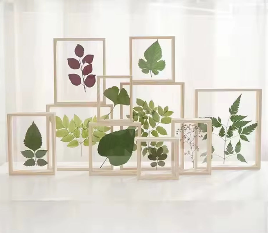 Wholesale Specimen Natural Wooden Photo Frame Double-Sided Transparent High Definition Acrylic Dry Flower Shadow Box Frame